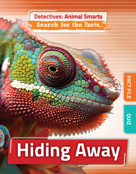 Hiding Away (Paperback)