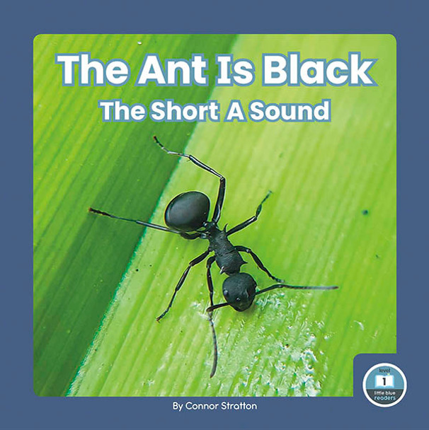 On It, Phonics! Vowel Sounds - 10 Titles (Hardcover)
