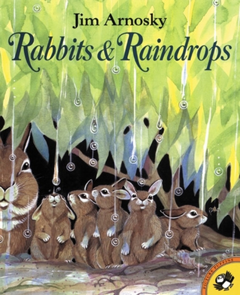 Rabbits and Raindrops (Paperback)