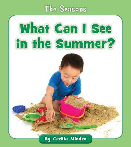 What Can I See in the Summer? (Paperback)