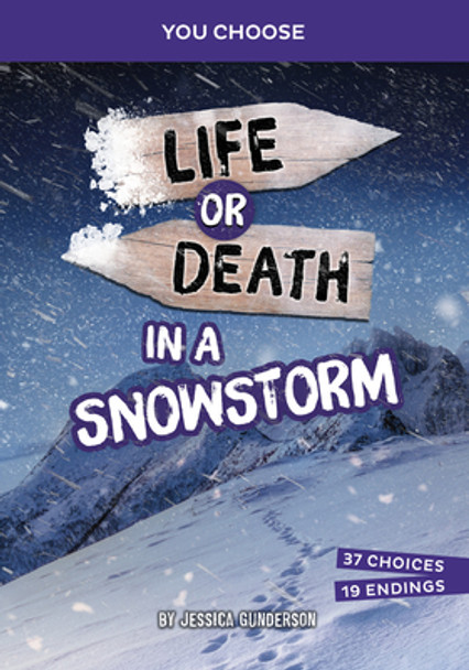 Life or Death in a Snowstorm: An Interactive Survival Adventure (Library Binding)