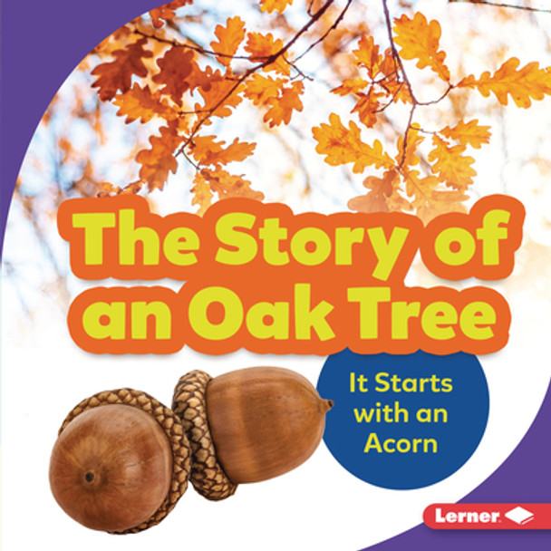 The Story of an Oak Tree: It Starts with an Acorn (Library Binding)