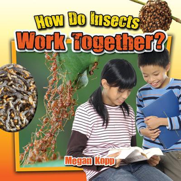 How Do Insects Work Together? (Paperback)