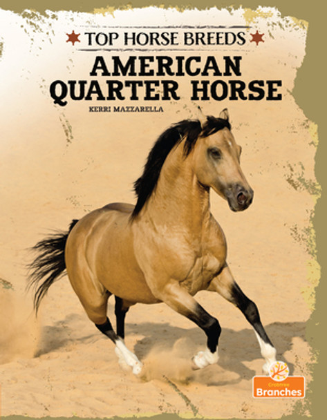 American Quarter Horse (Paperback)