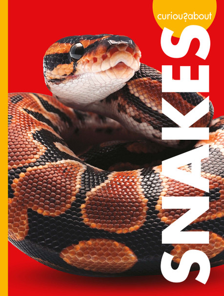 Curious about Pets: Curious about Snakes (Hardcover)