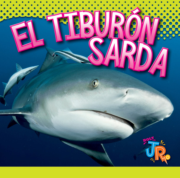 El mundo de tiburones: El tiburón sarda (Hardcover)