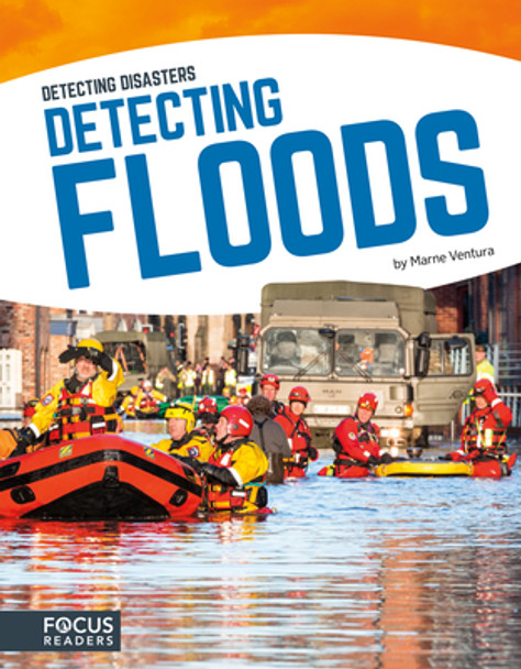Detecting Floods (Paperback)