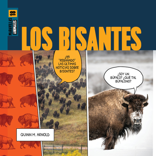 Maravillas: Los bisontes (Paperback)