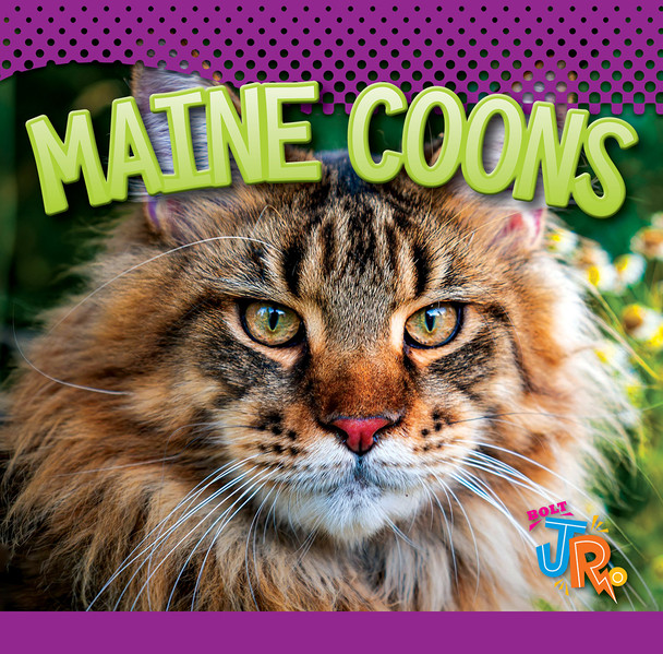 Our Favorite Cats: Maine Coons (Hardcover)