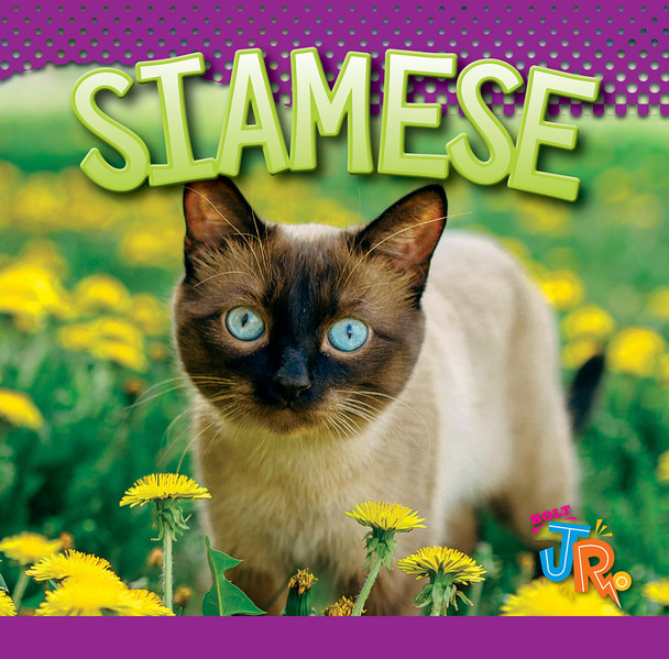 Our Favorite Cats: Siamese (Hardcover)