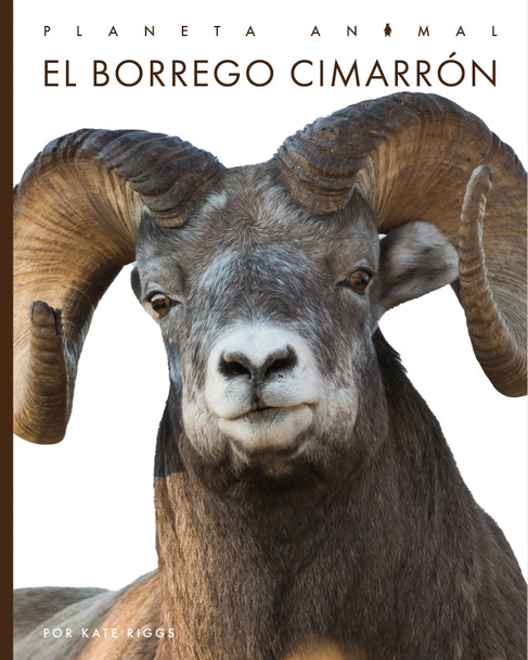 Planeta animal: El borrego cimarrón (Hardcover)