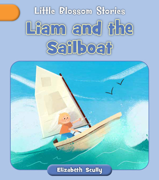 Liam and the Sailboat (Paperback)