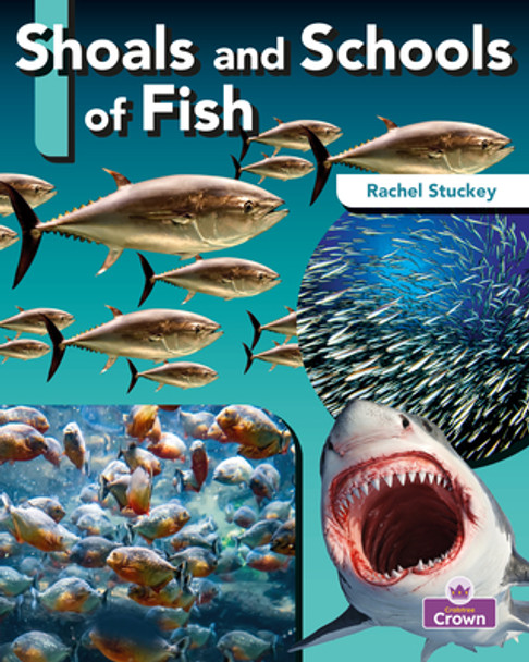 Shoals and Schools of Fish (Library Binding)