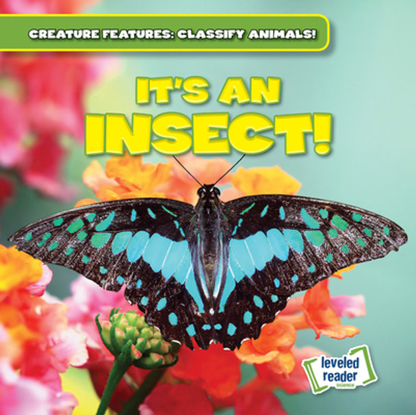 It's an Insect! (Paperback)