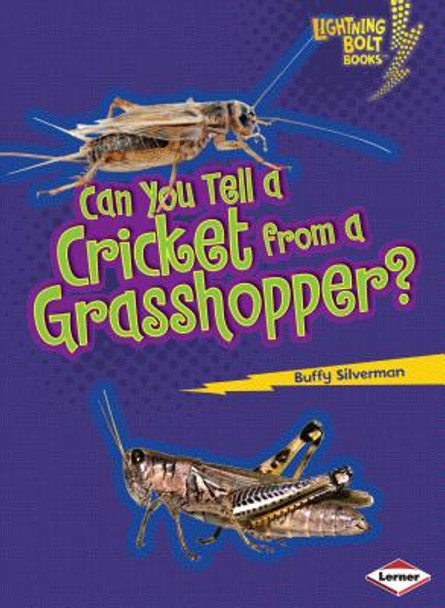 Can You Tell a Cricket from a Grasshopper? (Paperback)