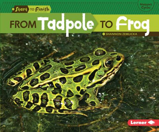 From Tadpole to Frog (Paperback)