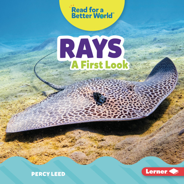Rays: A First Look (Library Binding)