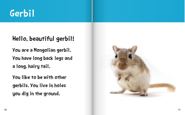 Hello, Beautiful! Desert Animals (Hardcover)