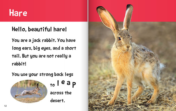 Hello, Beautiful! Desert Animals (Hardcover)