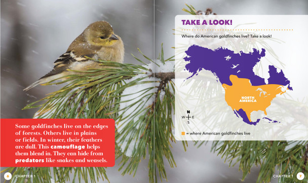 Science Behind the Colors: Goldfinches (Hardcover)