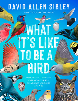 What It's Like to Be a Bird (Adapted for Young Readers): From Flying to Nesting, Eating to Singing--What Birds Are Doing and Why (Library Binding)