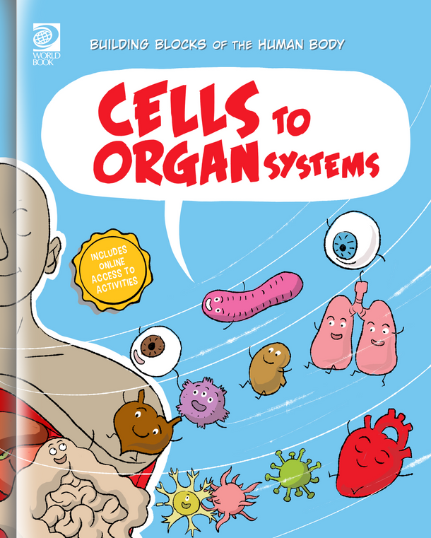 Building Blocks of the Human Body: Cells to Organ Systems (Hardcover)