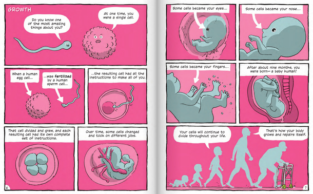 Building Blocks of the Human Body: Cells to Organ Systems (Hardcover)