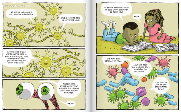 Building Blocks of the Human Body: Cells to Organ Systems (Hardcover)