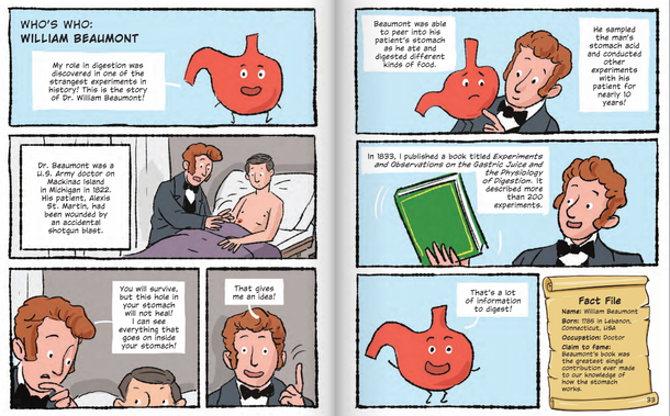 Building Blocks of the Human Body: The Digestive and Urinary Systems (Hardcover)