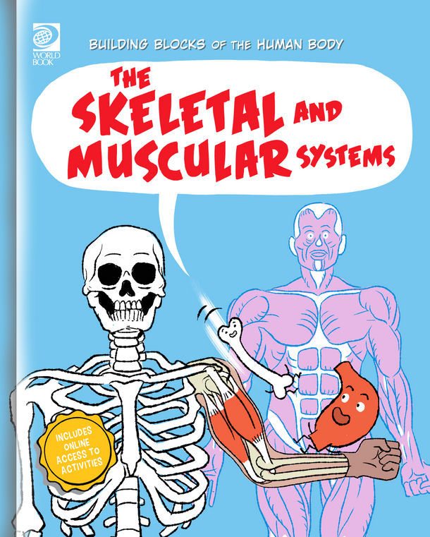 Building Blocks of the Human Body: The Skeletal and Muscular Systems (Hardcover)