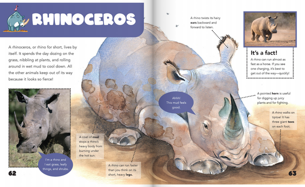 Curiosity Encyclopedia: Animal Worlds (Hardcover) Curiosity Encyclopedia: Animal Worlds (Hardcover)