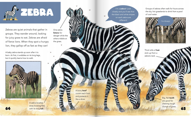Curiosity Encyclopedia: Animal Worlds (Hardcover) Curiosity Encyclopedia: Animal Worlds (Hardcover)