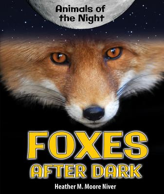 Foxes After Dark (Library Binding)
