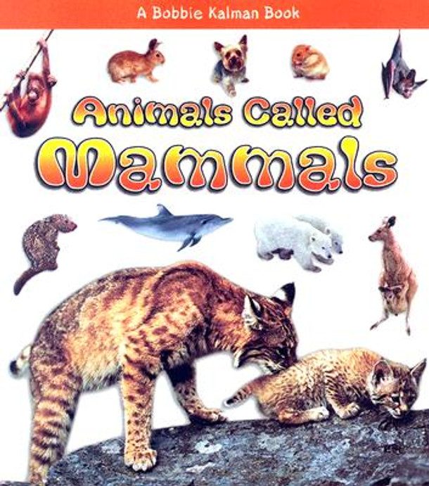 Animals Called Mammals (Paperback)