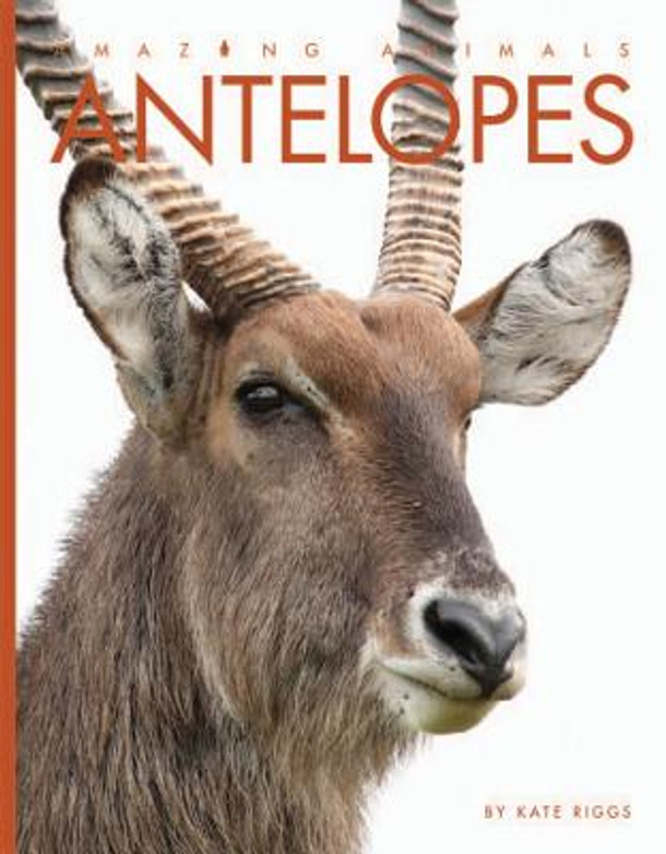 Antelopes (Paperback)
