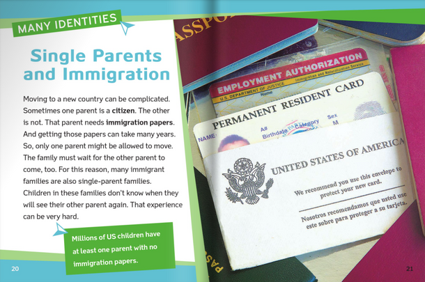 All Families: Single-Parent Families (Hardcover)