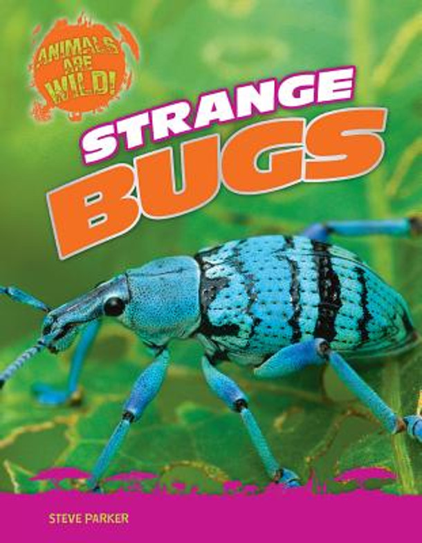 Strange Bugs (Library Binding)