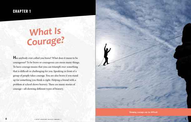 Stories of Courage (Hardcover)