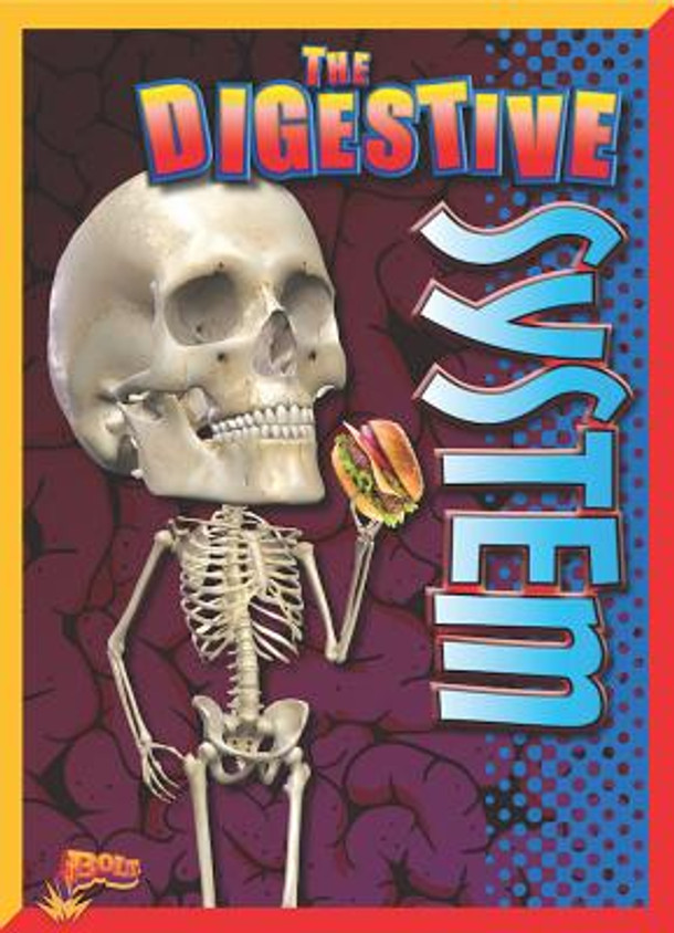 The Digestive System (Paperback)