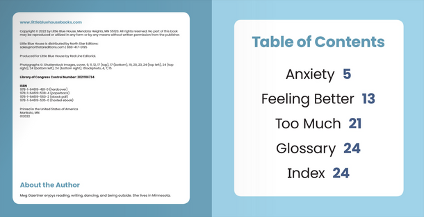 Dealing with Challenges: Anxiety (Hardcover)