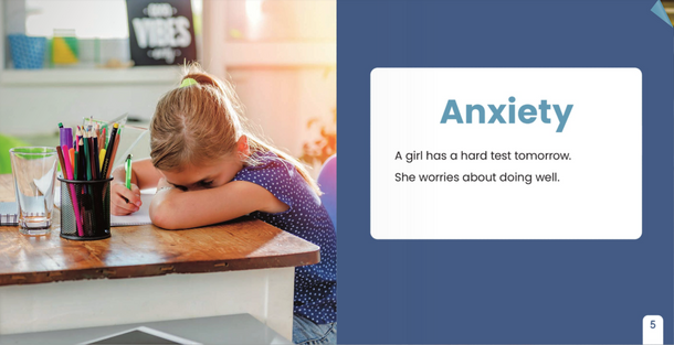 Dealing with Challenges: Anxiety (Hardcover)