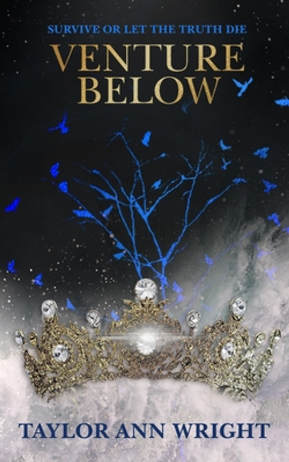 Venture Below (Paperback)