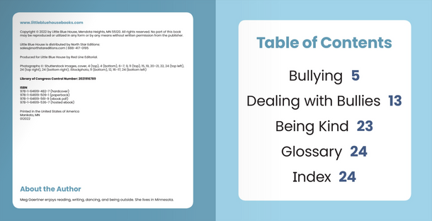 Dealing with Challenges: Bullying (Hardcover)
