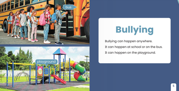 Dealing with Challenges: Bullying (Hardcover)