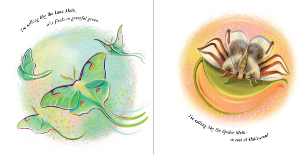 An Extraordinary Ordinary Moth (Hardcover) An Extraordinary Ordinary Moth (Hardcover)