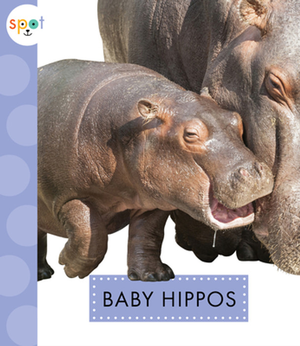 Baby Hippos (Paperback)