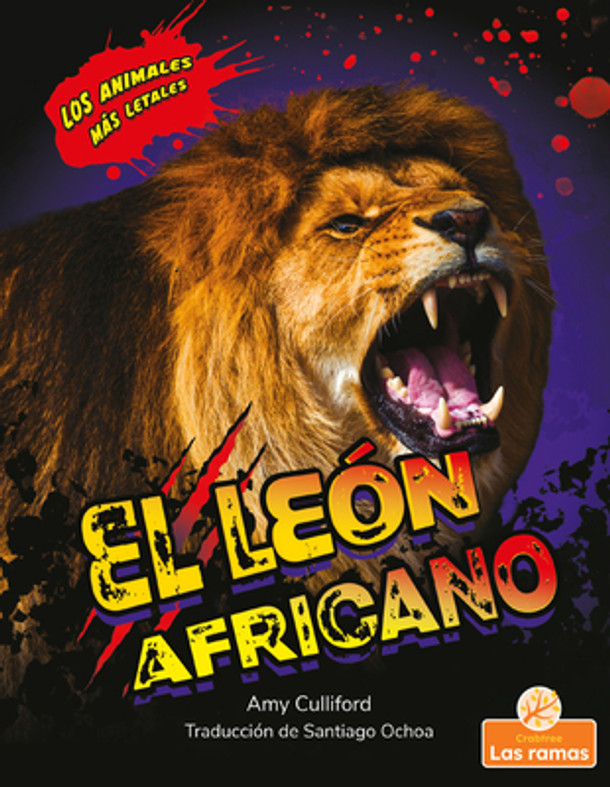 El León Africano (African Lion) (Paperback)