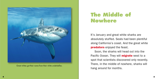 Marvelous Migrations: Great White Shark Migration (Hardcover)