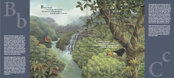 A is for Anaconda: A Rainforest Alphabet (Hardcover)
