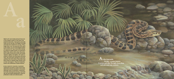 A is for Anaconda: A Rainforest Alphabet (Hardcover)